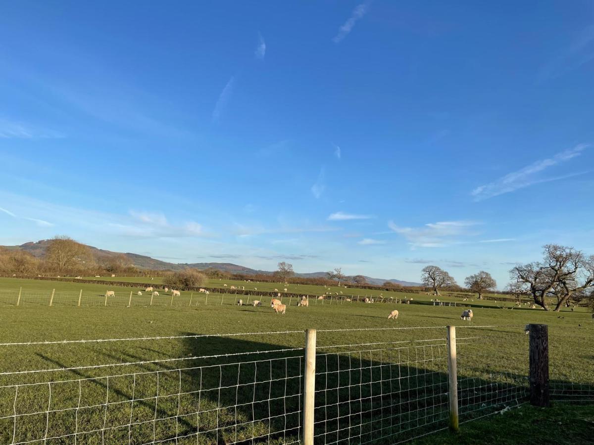 فندق Abbey Farm Luxury Glamping Rhuddlan المظهر الخارجي الصورة