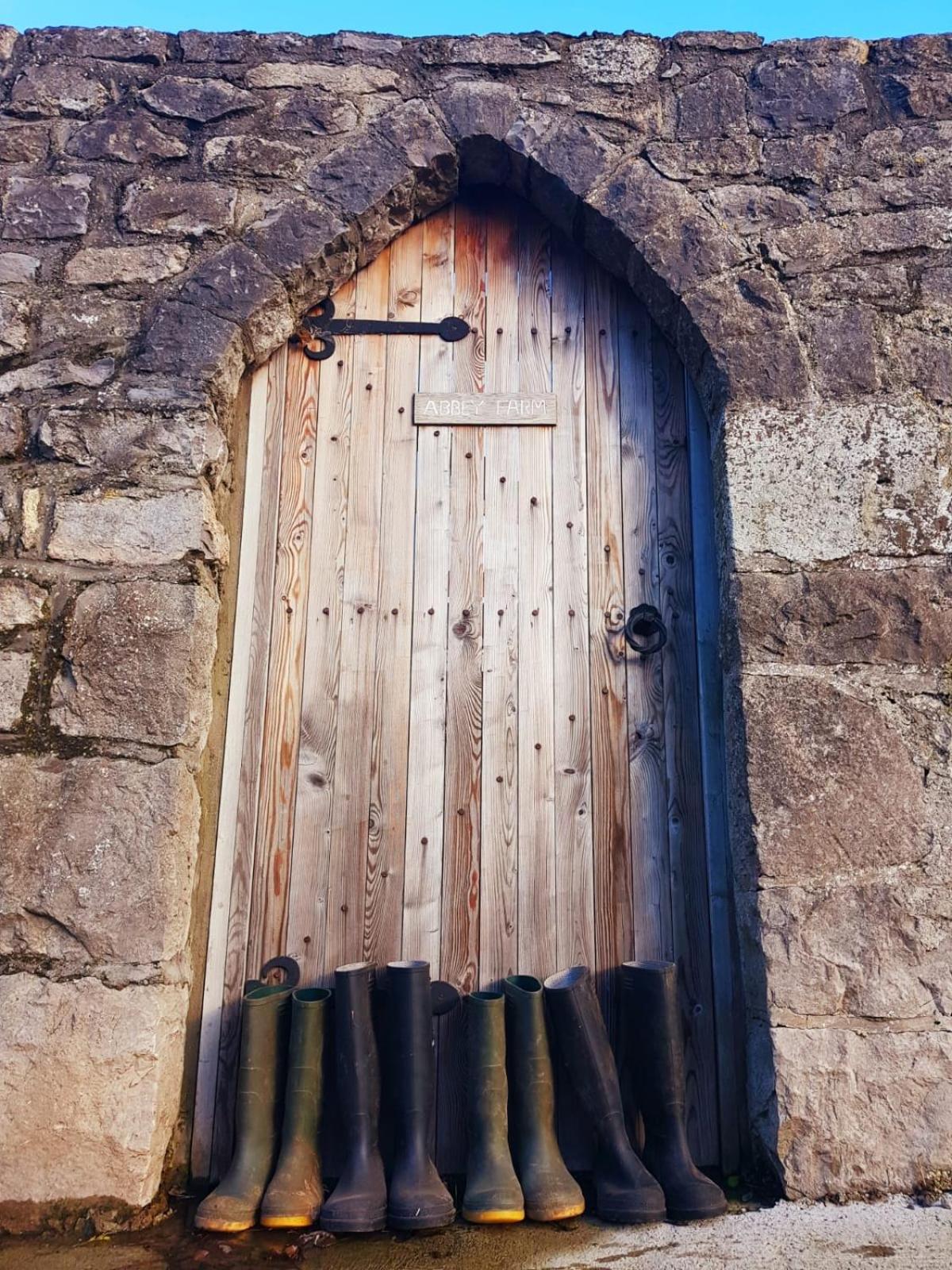 فندق Abbey Farm Luxury Glamping Rhuddlan المظهر الخارجي الصورة